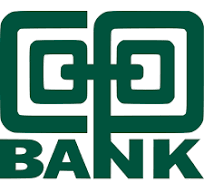 Partner 1 Logo